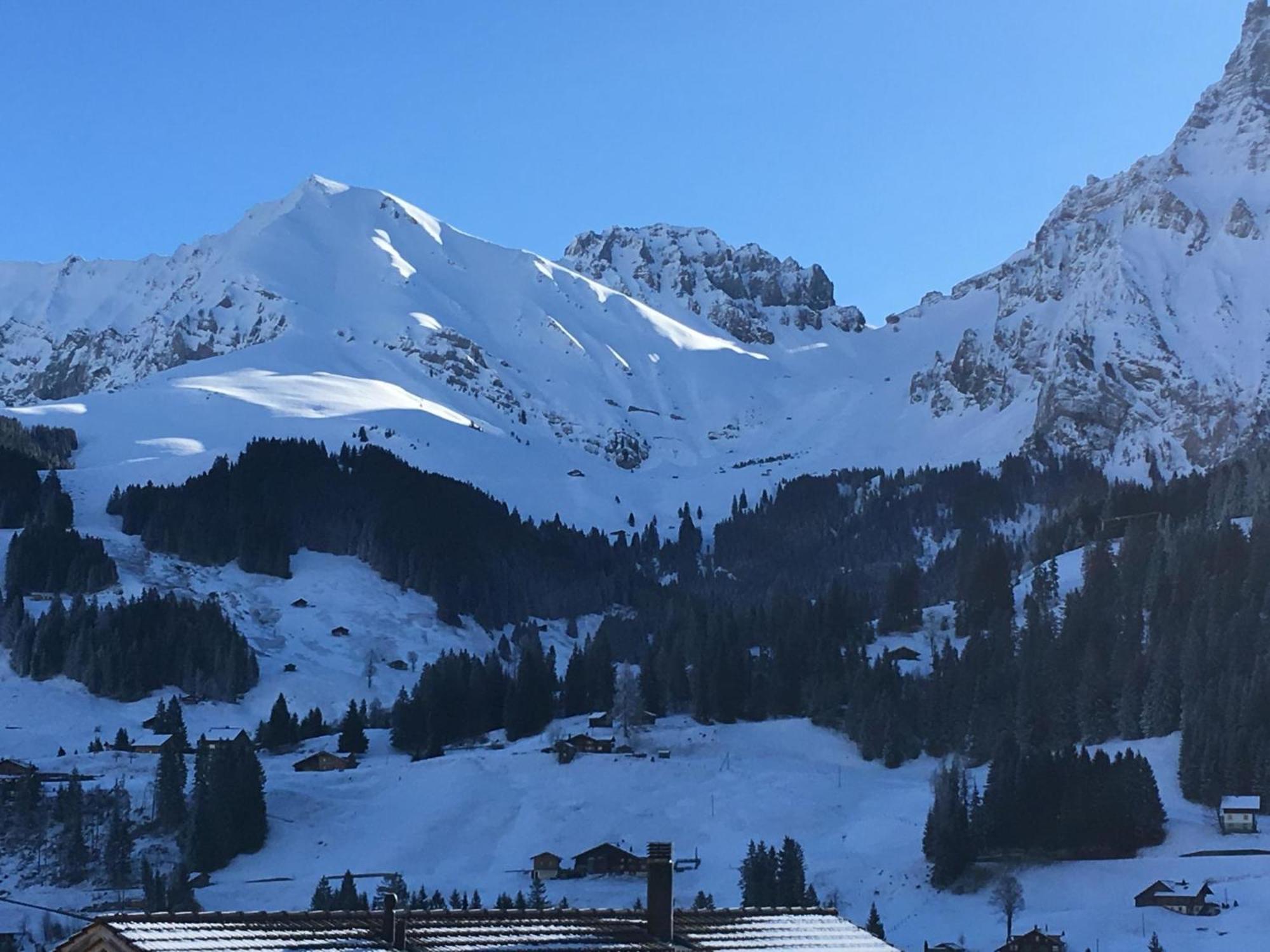 Apartment Hari By Interhome Adelboden Eksteriør billede