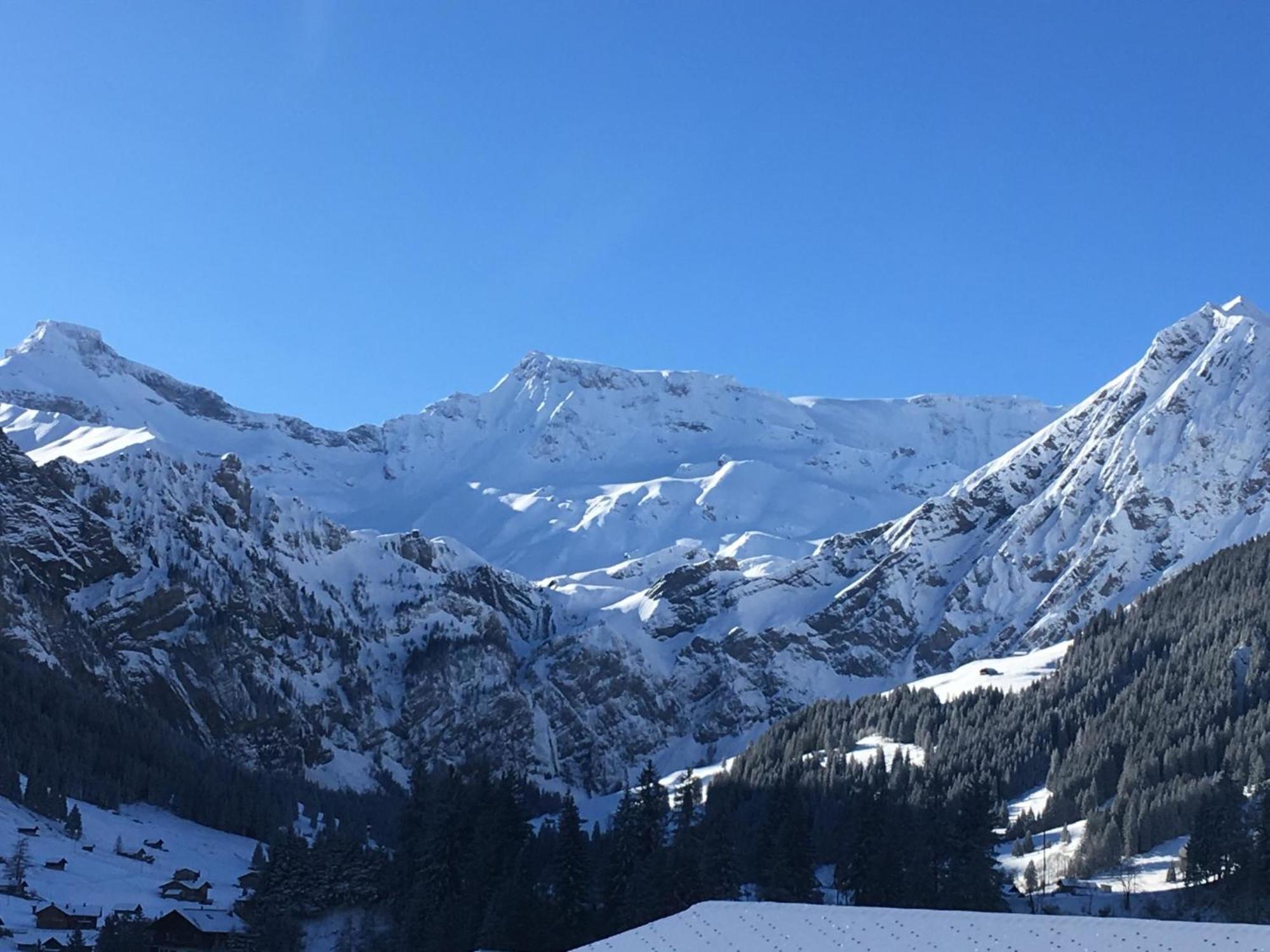 Apartment Hari By Interhome Adelboden Eksteriør billede