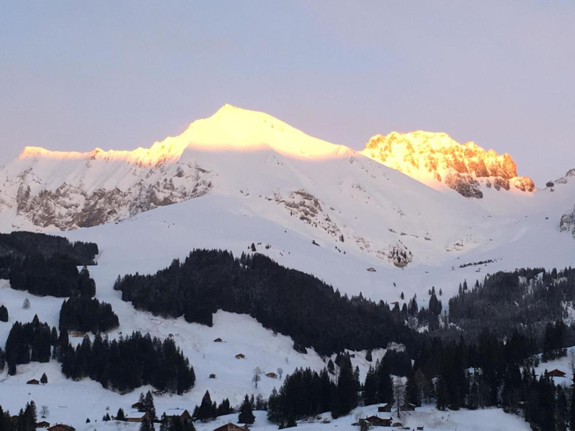 Apartment Hari By Interhome Adelboden Eksteriør billede